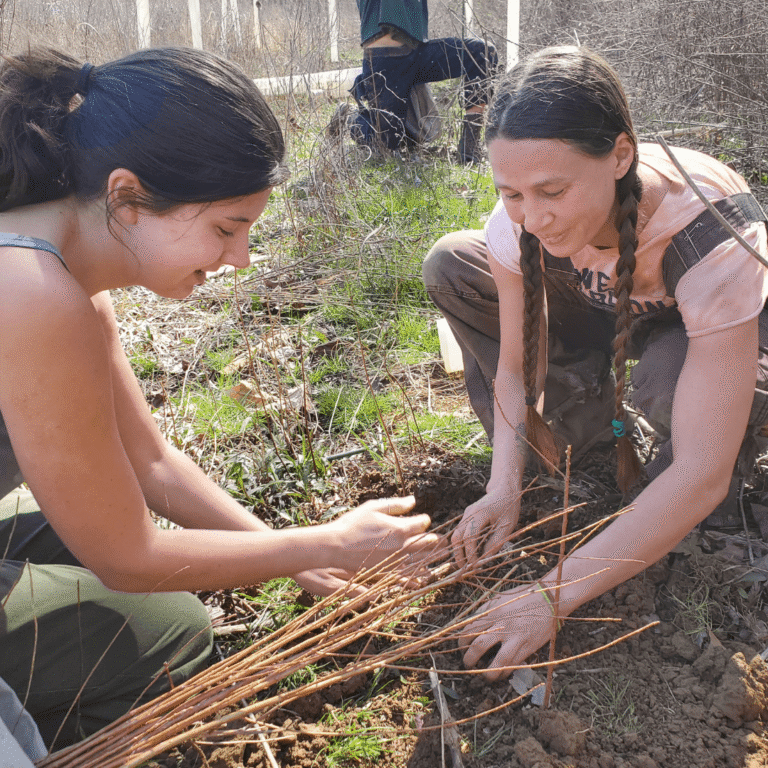 Solid Ground Farm’s Apprenticeship Program