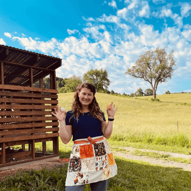 Wyndale Gardens – Feeding Schools & Community